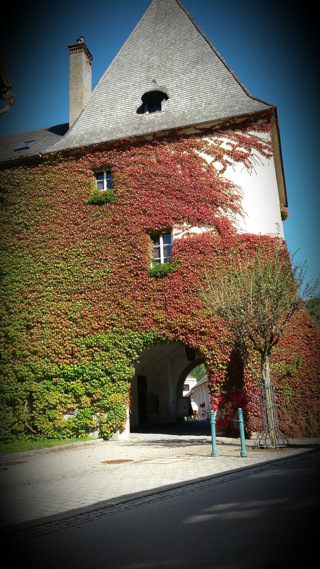 Ein historisches Gebäude mit Efeu bewachsen, das einen Torbogen hat.