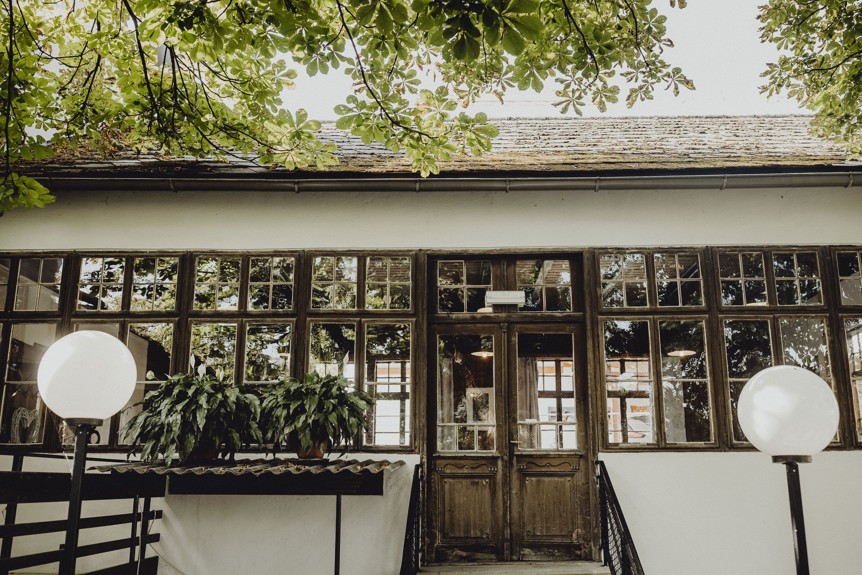 Eingang zu einem Gebäude mit großen Fenstern und Pflanzen, umgeben von Bäumen.