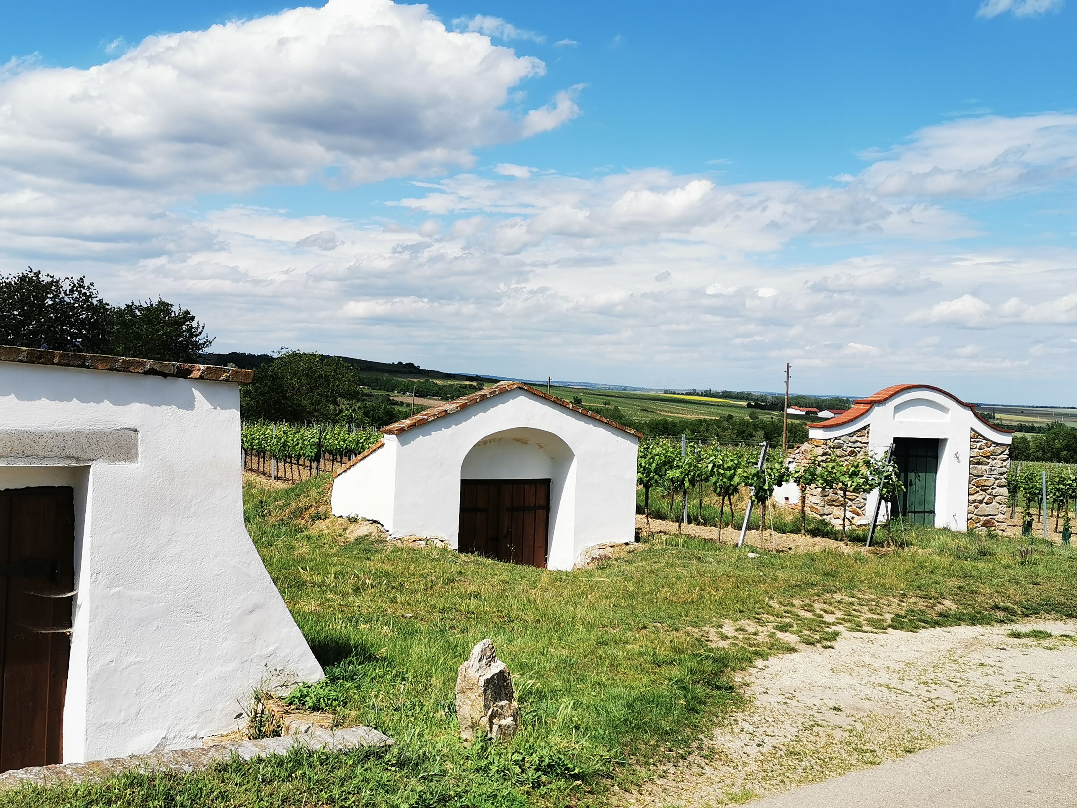 Weinkeller in Zellerndorf, umgeben von Weinbergen und blauem Himmel.