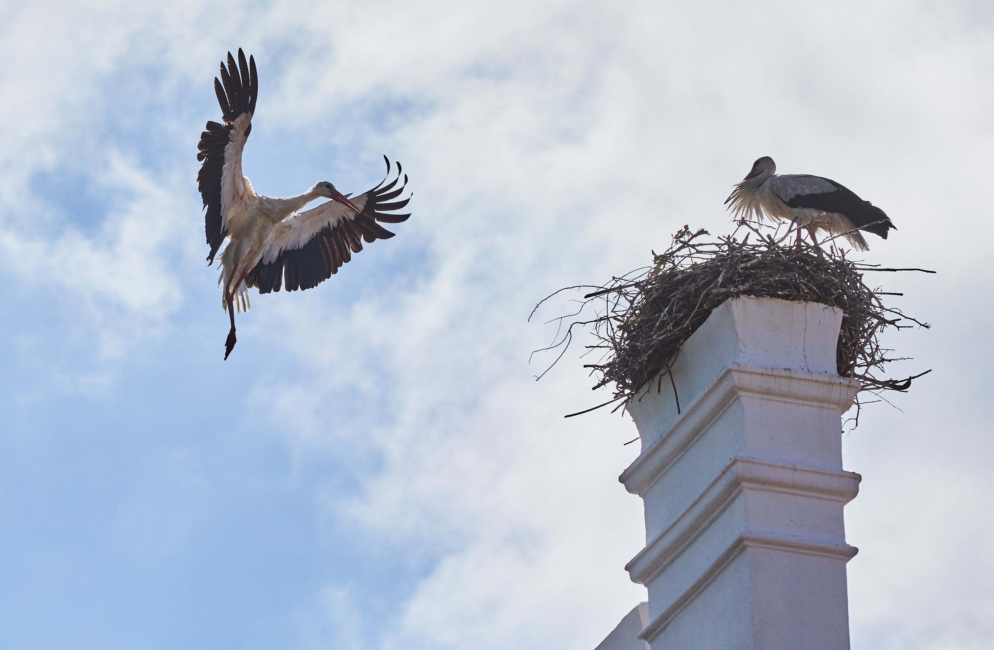 Ein Storch fliegt zu einem Nest auf einem weißen Schornstein, in dem ein anderer Storch steht, vor blauem Himmel.