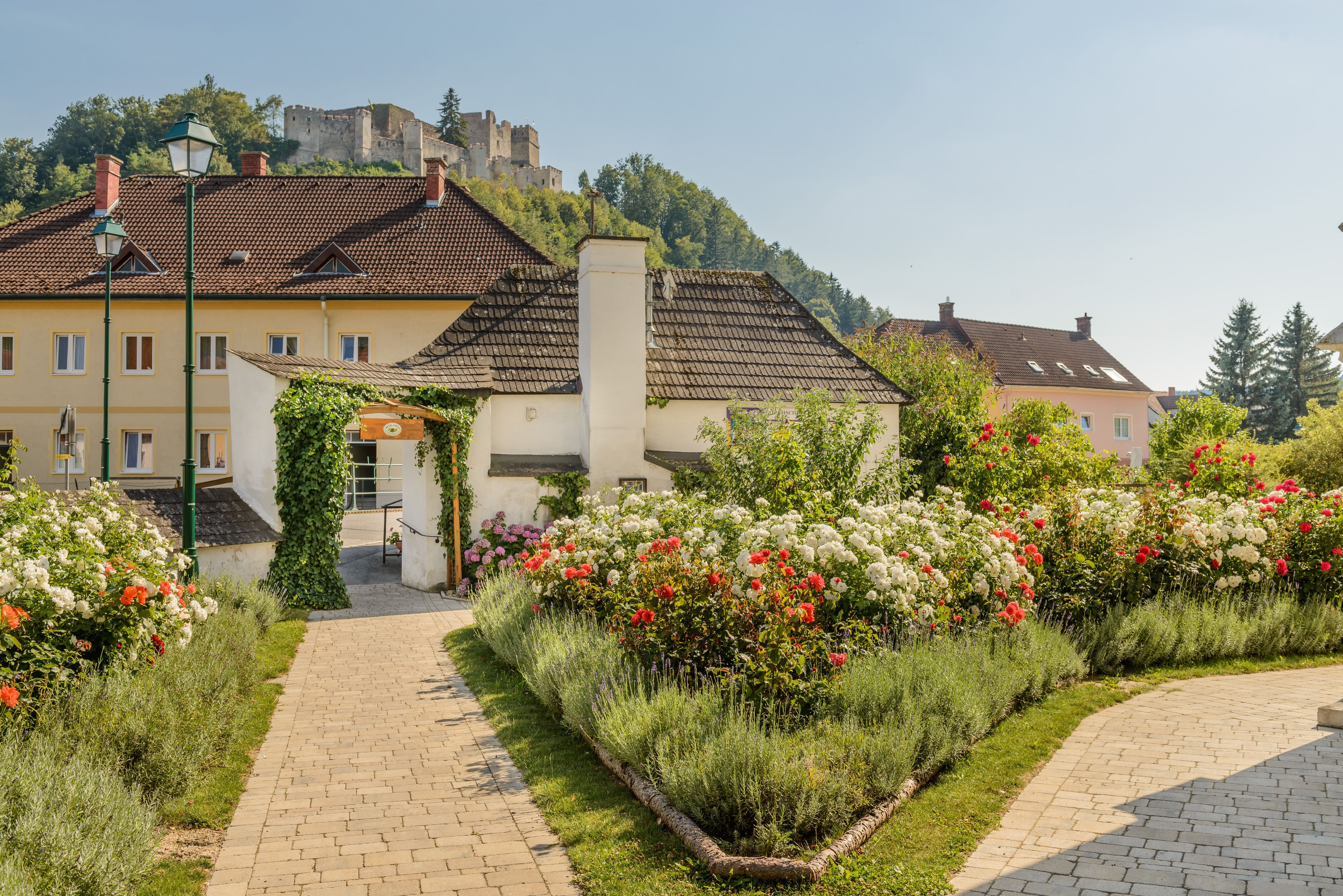 Ein gepflegter Rosengarten mit roten und weißen Rosen, im Hintergrund eine Burg auf einem Hügel.