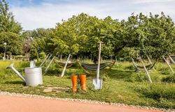 Inmitten einer blühenden Oase laden schaukelnde Hängematten und leuchtend orange Gummistiefel zum Entspannen ein. Der Duft von frischem Gras und blühenden Pflanzen erfüllt die Luft, während das sanfte Plätschern des Wassers eine beruhigende Atmosphäre schafft. Ein perfekter Ort, um die Schönheit des Frühlings zu genießen und die Seele baumeln zu lassen.