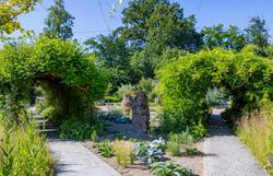 Top Ausflugsziel GARTEN TULLN. Überwachsene Bögen zum Durchgehen führen entlang des Weges. Viele grüne Büsche und Bäume im Hintergrund, strahlend blauer Himmel und Sonnenschein.