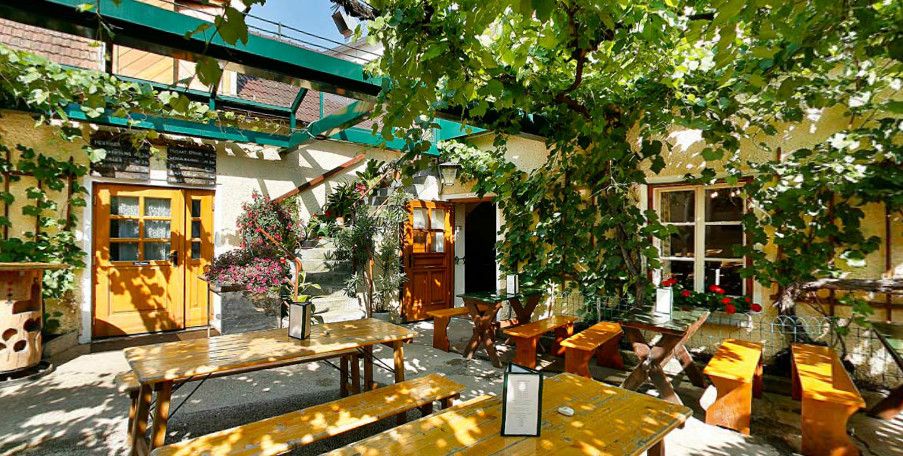 Ein gemütlicher Innenhof mit Holzbänken und Tischen, umgeben von grünen Weinreben und Pflanzen.