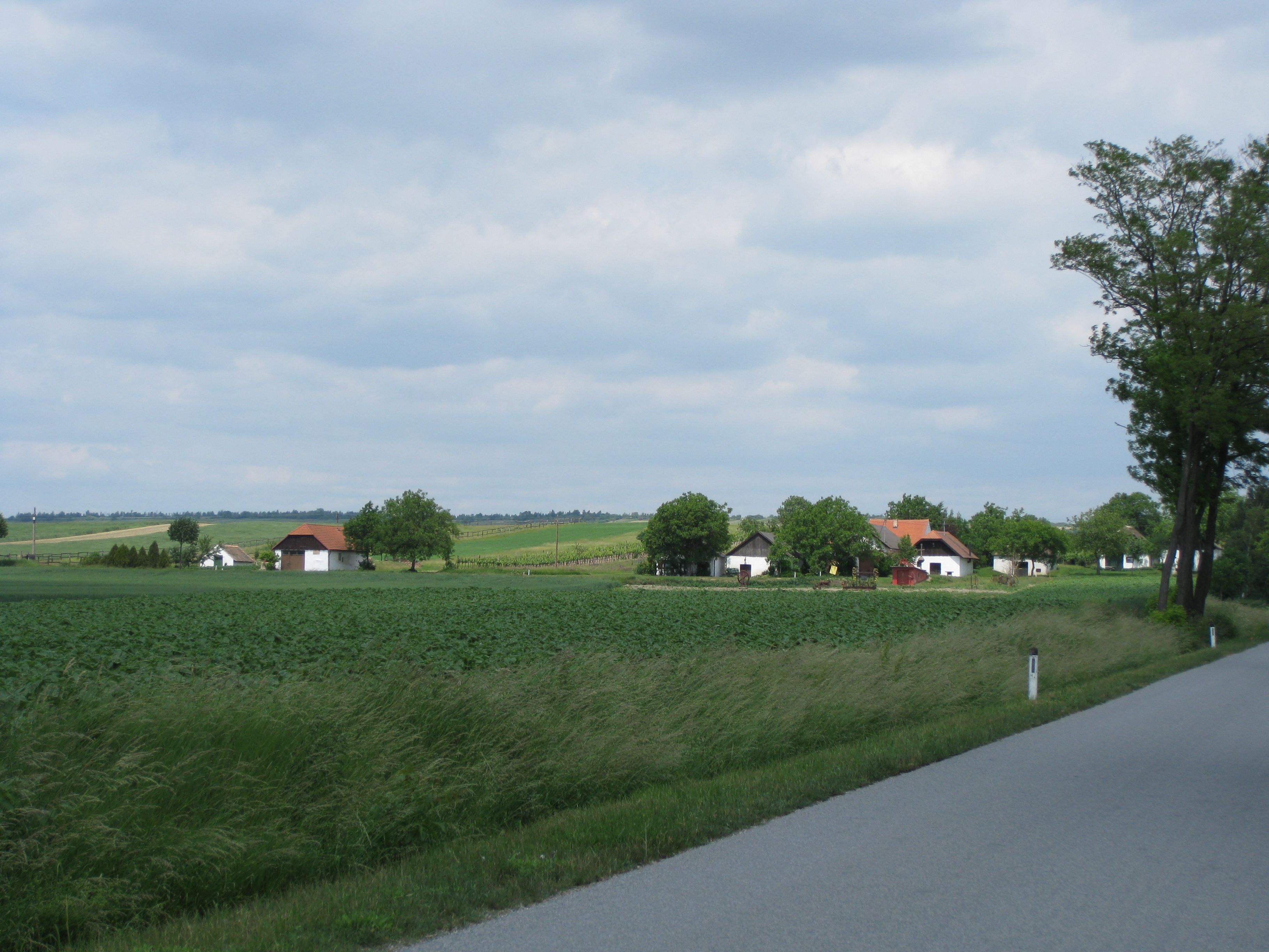 Ländliche Landschaft mit Feldern, Bäumen und Häusern unter bewölktem Himmel.