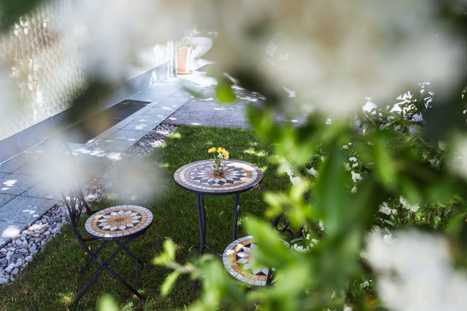 Pension Klug - Garten
