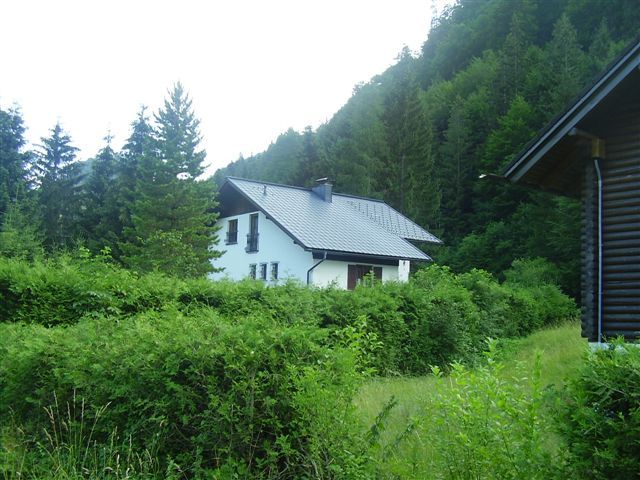 Ein weißes Haus mit grauem Dach, umgeben von grünen Büschen und Bäumen, in einer ländlichen Waldlandschaft.