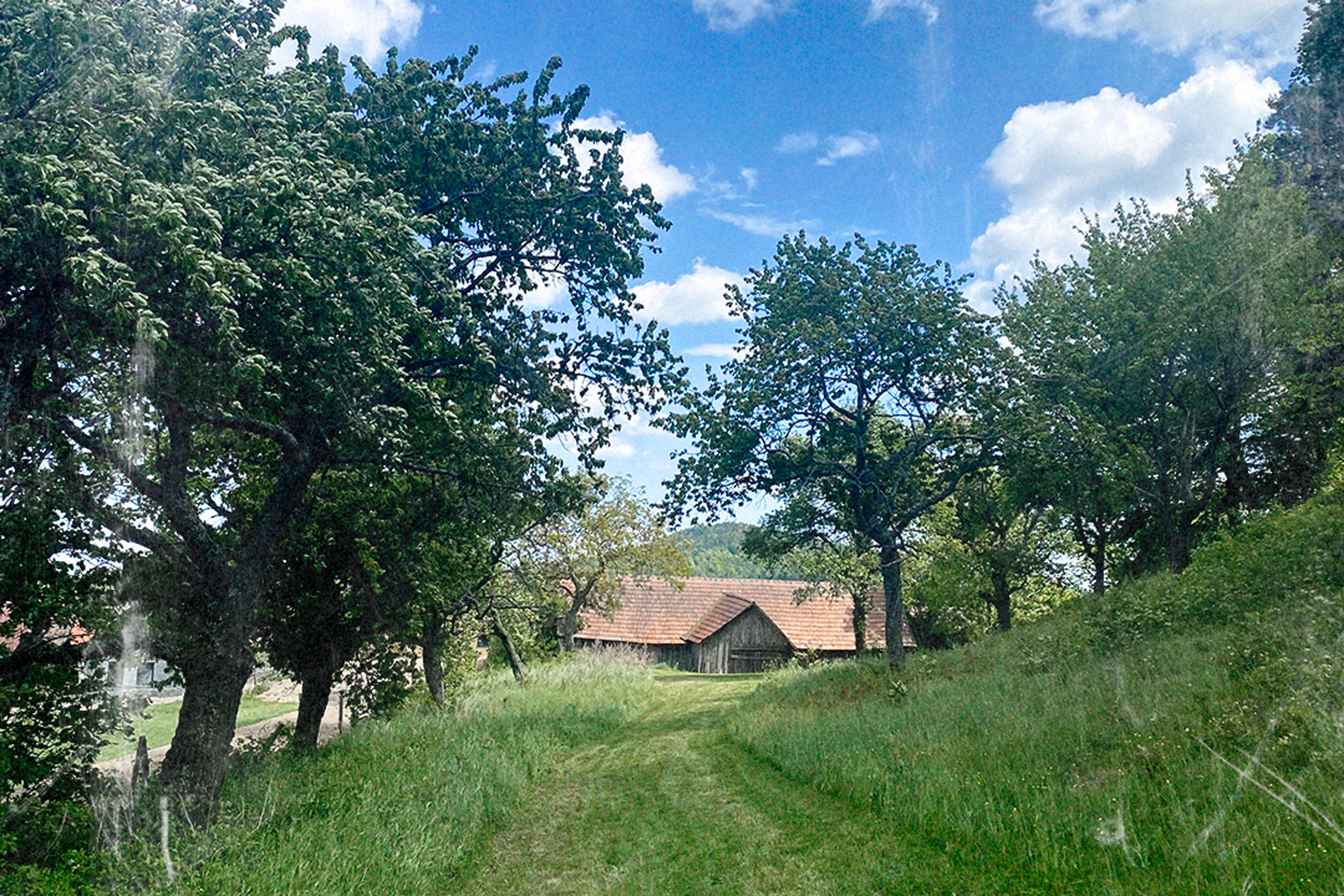 Ein ländlicher Weg führt durch eine grüne Wiese zu einem Bauernhaus mit roten Ziegeldächern, umgeben von Bäumen unter einem blauen Himmel mit Wolken.