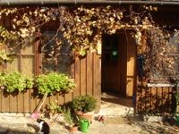 Eingang eines rustikalen Holzhauses mit Pflanzen und Katze.