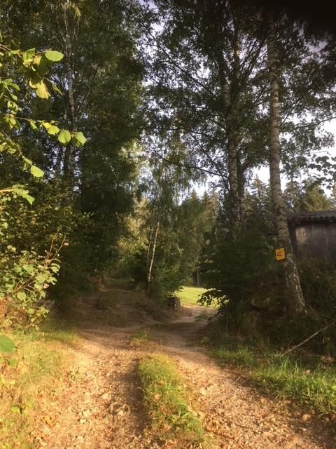 Rundweg Dachlstein mit Mariensitz