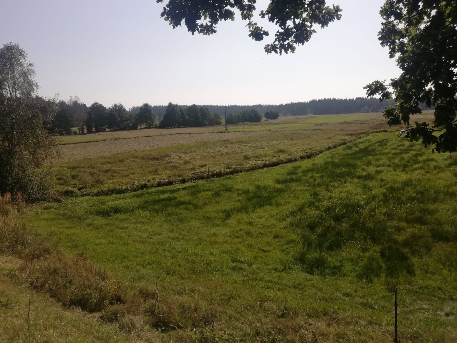 Fischersteig