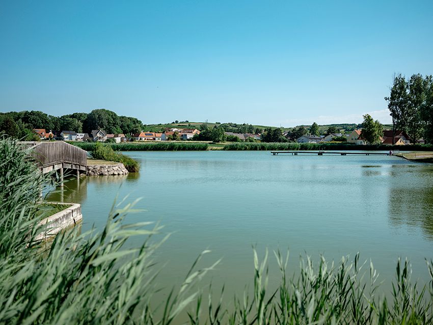 Ein ruhiger Teich mit Steg und umliegenden Häusern in Poysdorf.