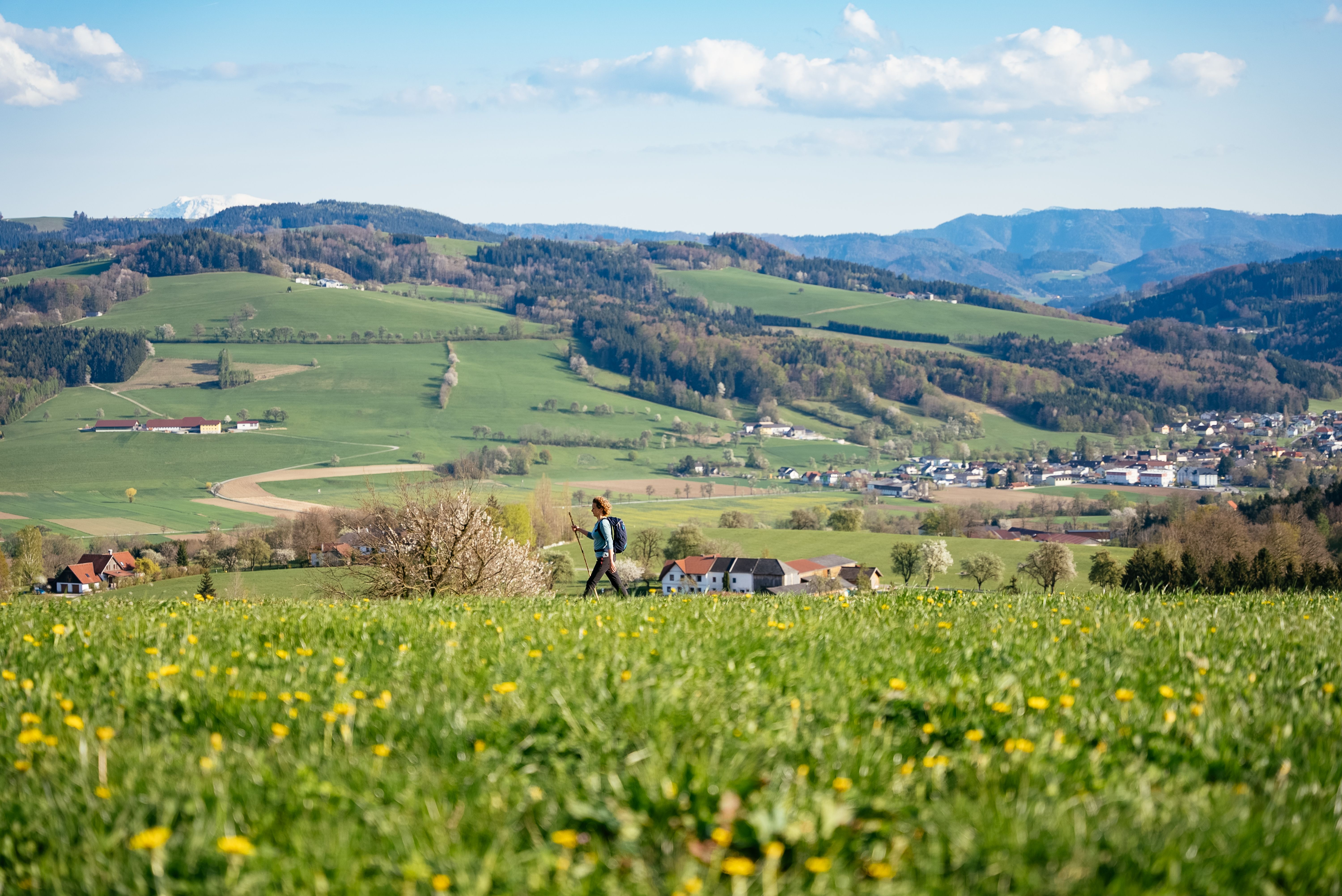 Wanderer in der hügeligen Frühlingslandschaft Niederösterreichs