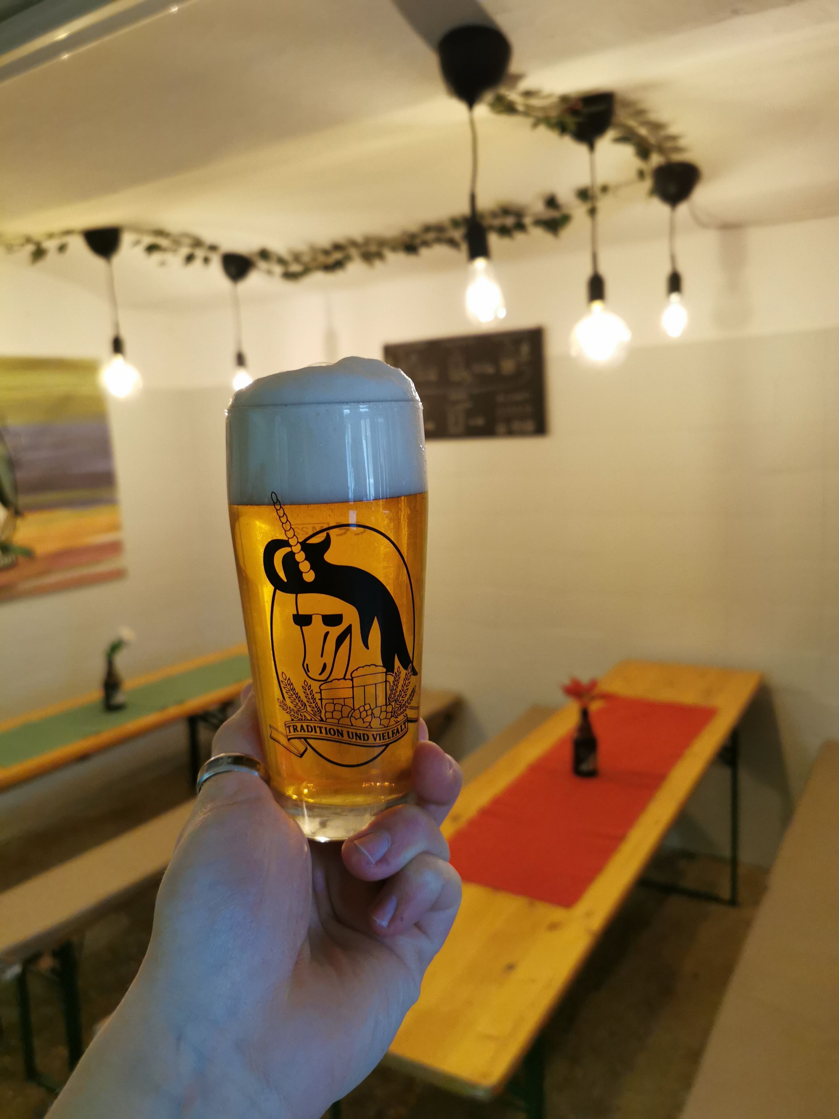 Ein Glas Bier mit Schaumkrone wird in einem Verkostungsraum mit Holztischen und Lichterketten gehalten.