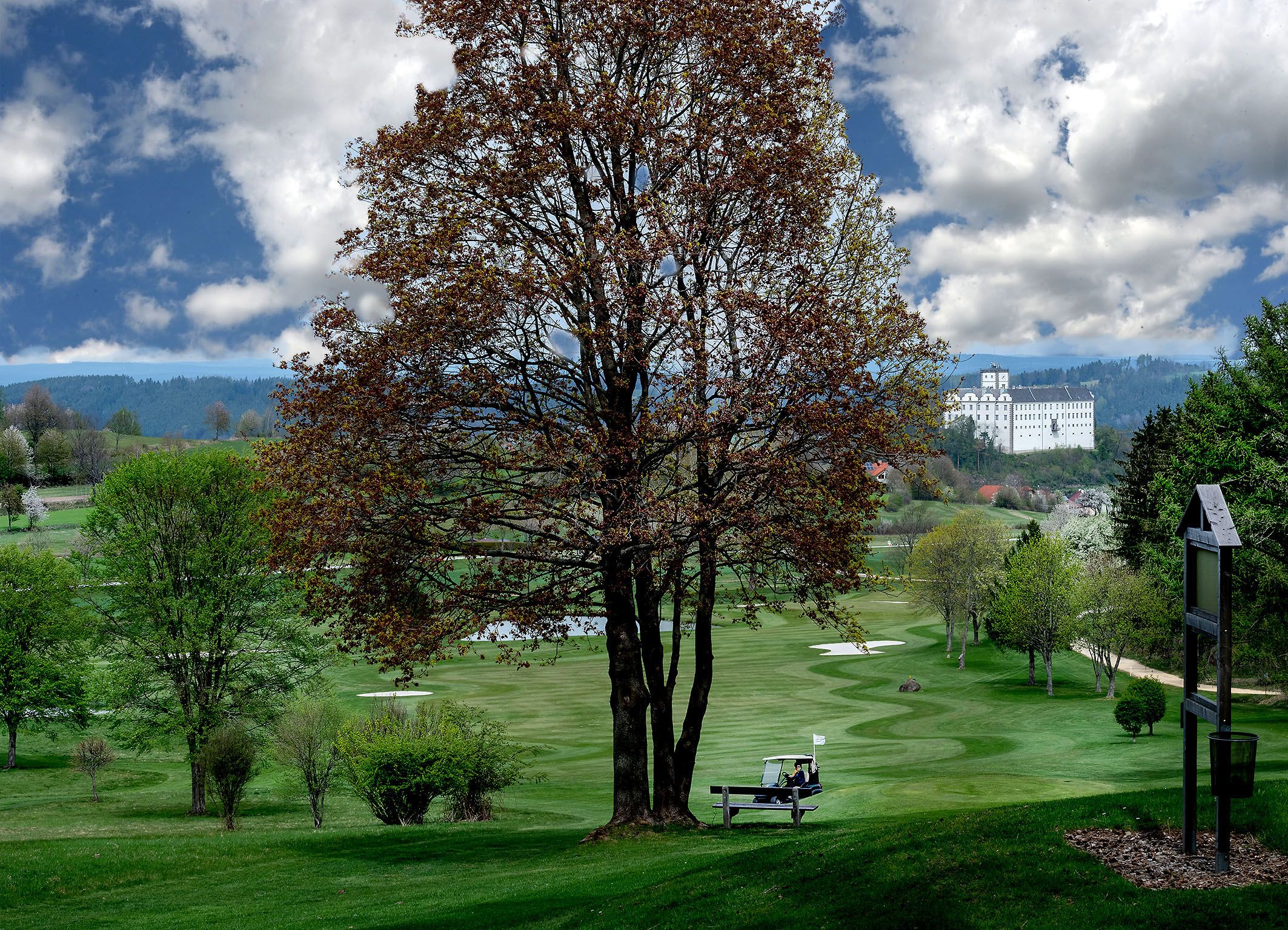 Golfplatz mit Baum in der Mitte und im Hintergrund das Schloss Weitra