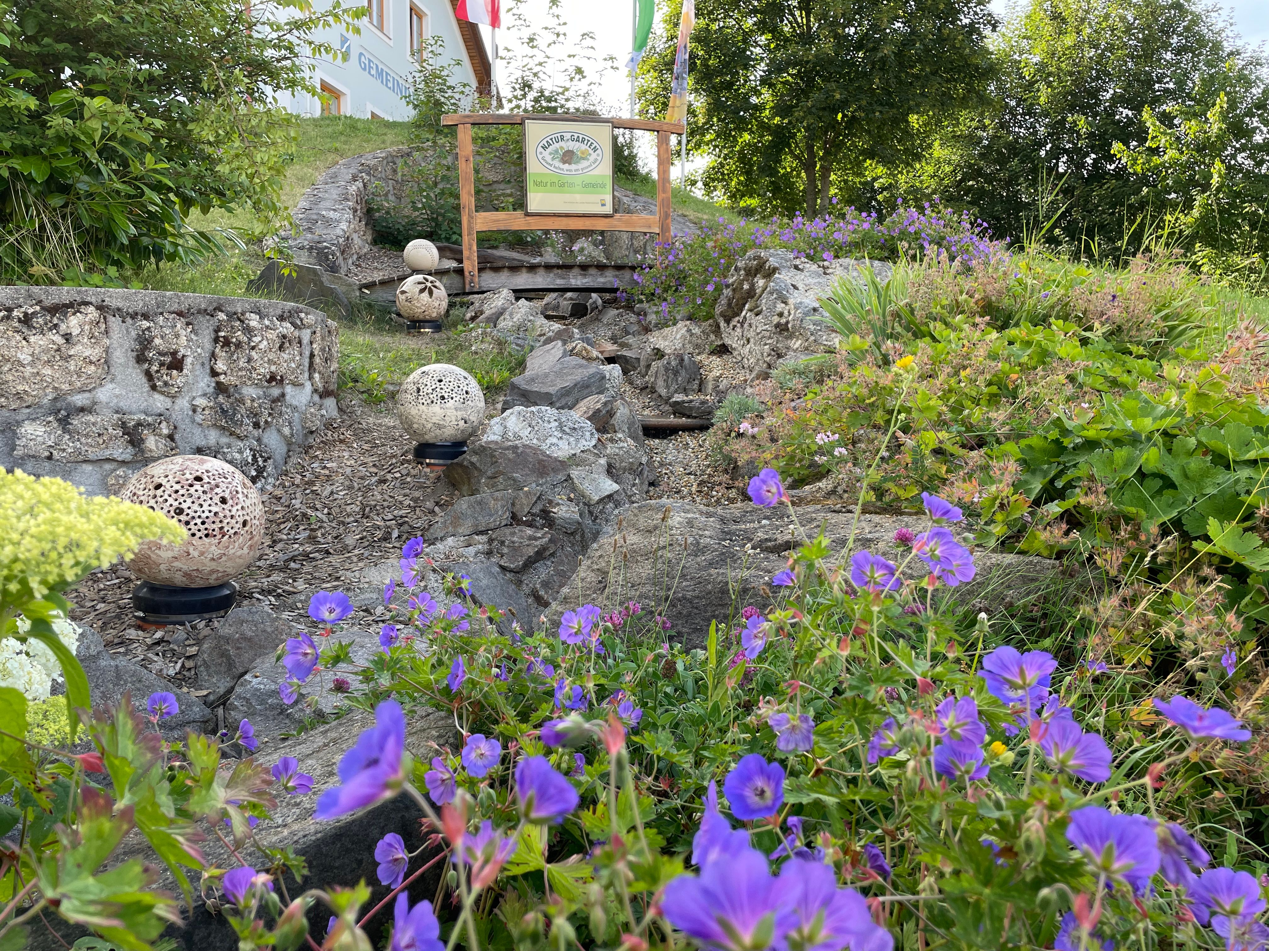 Bachlauf in Schönbach