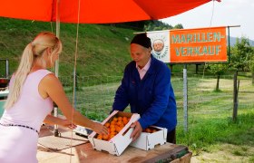 Wachauer Marillen Verkauf, © Donau NÖ_Steve Haider