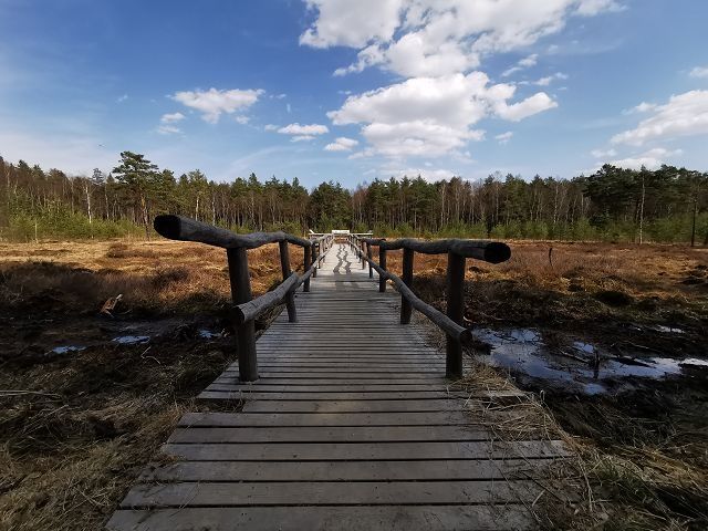 Moorlehrpfad im Naturpark Heidenreichsteiner Moor