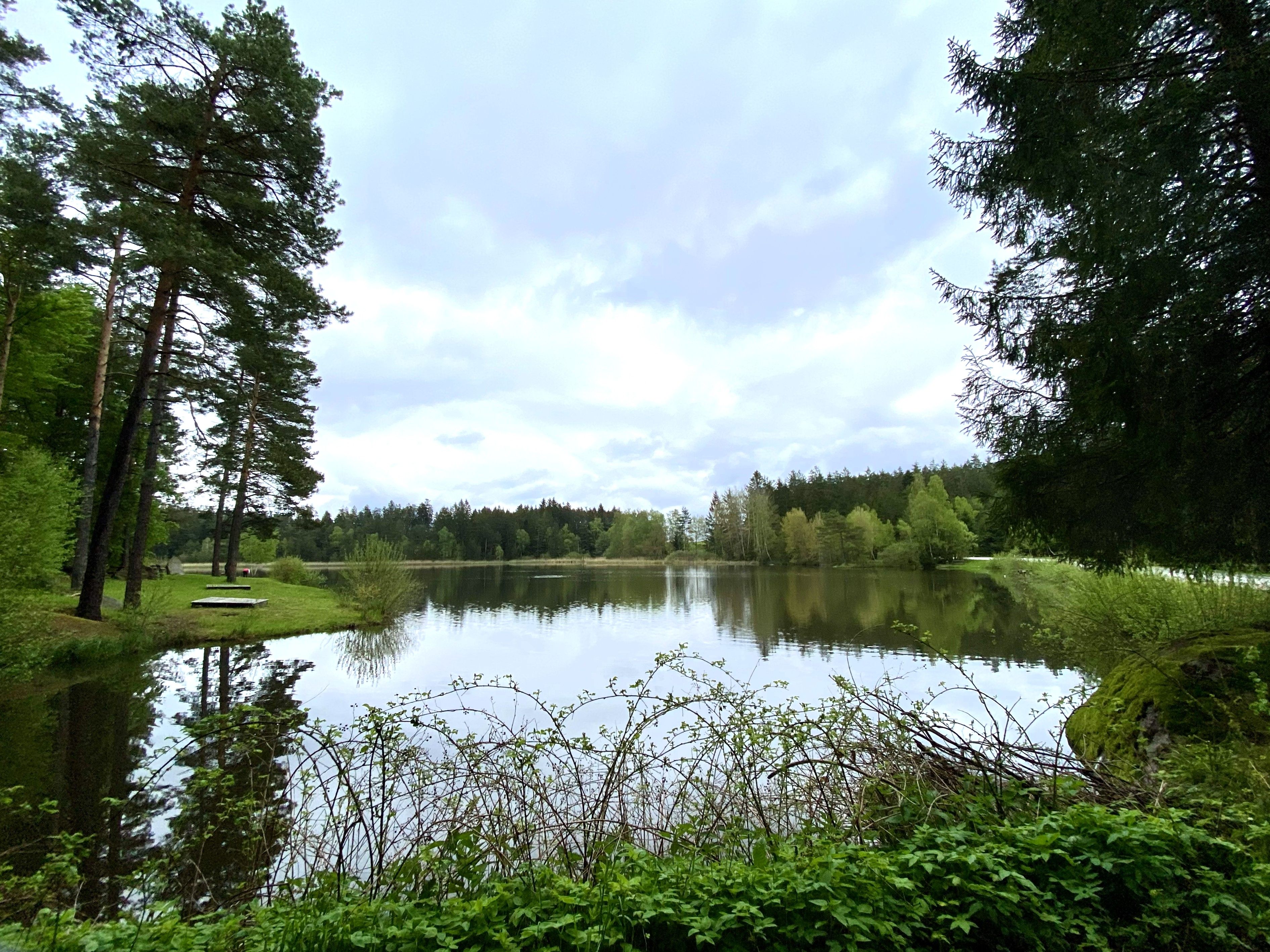 Teich umgeben von grünen Wäldern