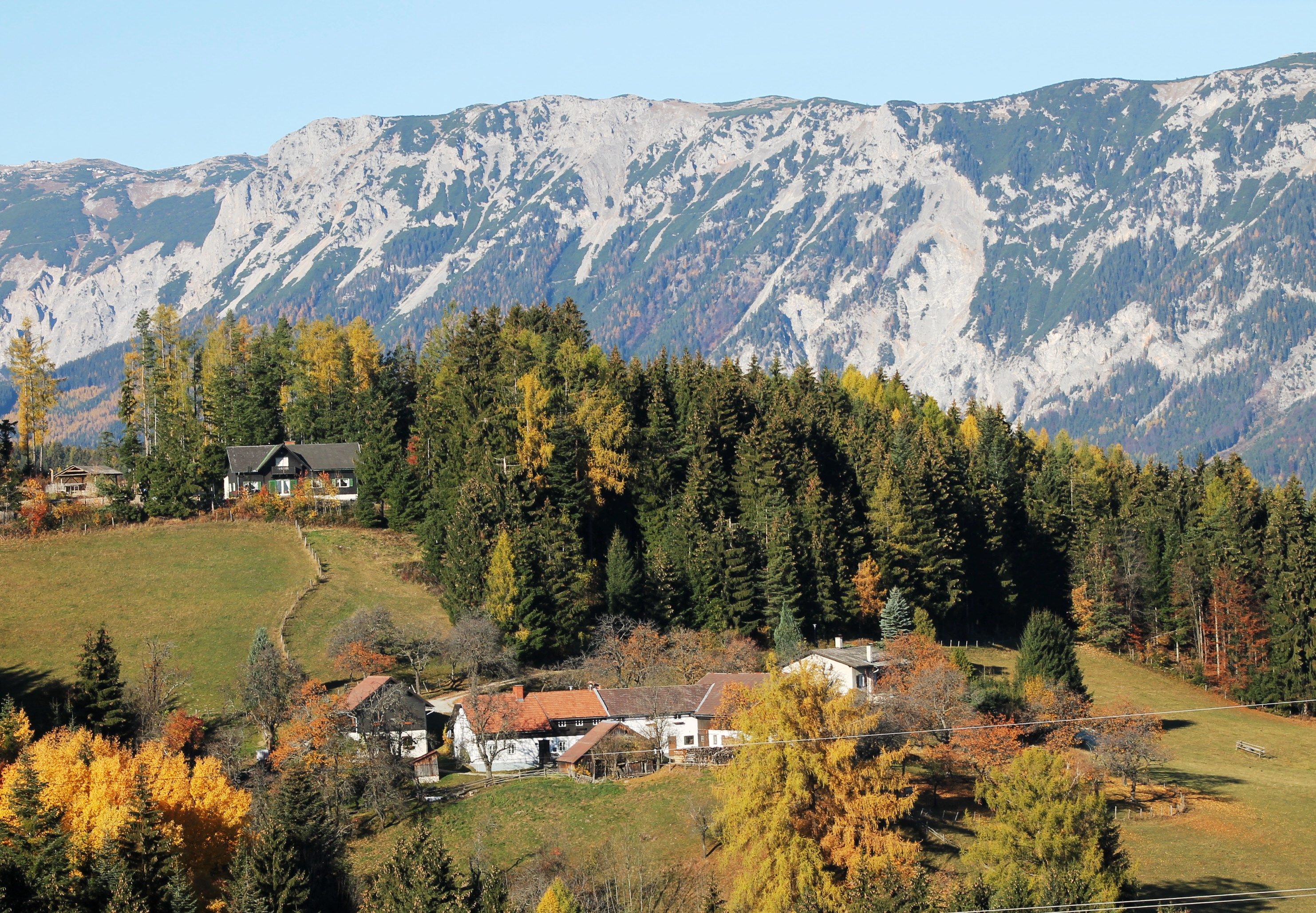 Blick auf die Rax mit Wald und Häusern im Vordergrund.