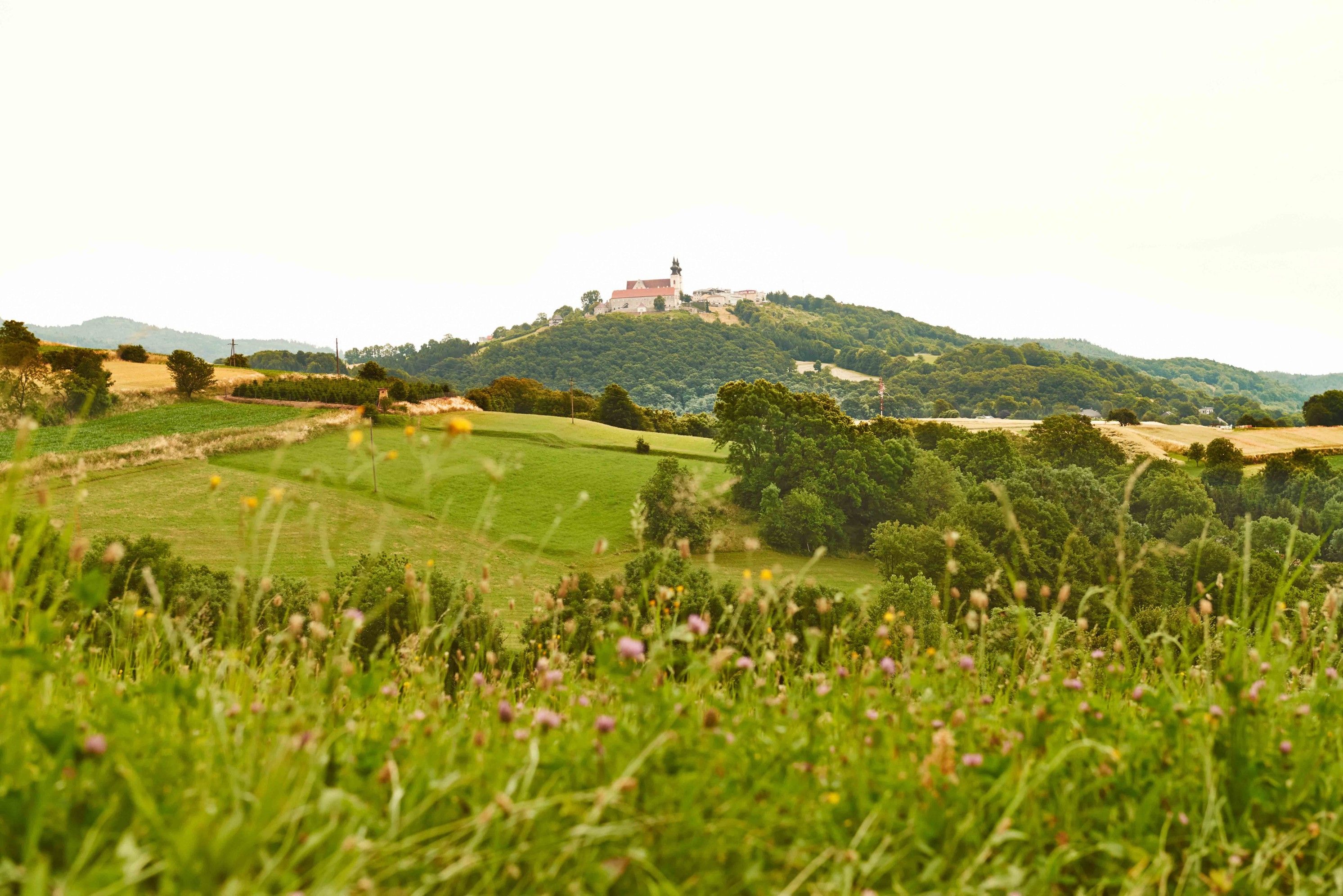 Landschaft mit grünen Wiesen und Hügeln, im Hintergrund eine Kirche auf einem Hügel.