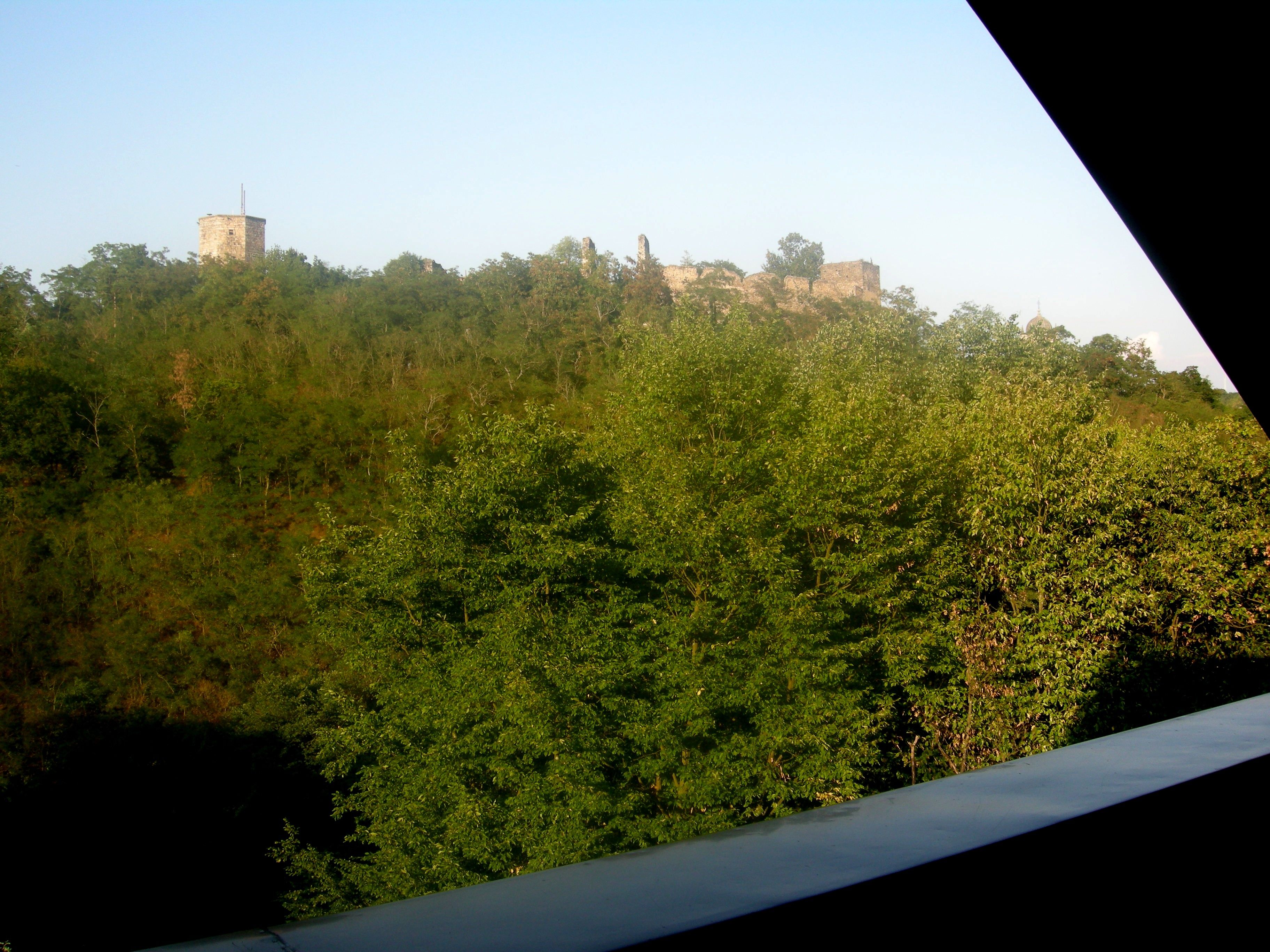 Blick auf die Burgruine Gars hinter Bäumen bei Sonnenuntergang.