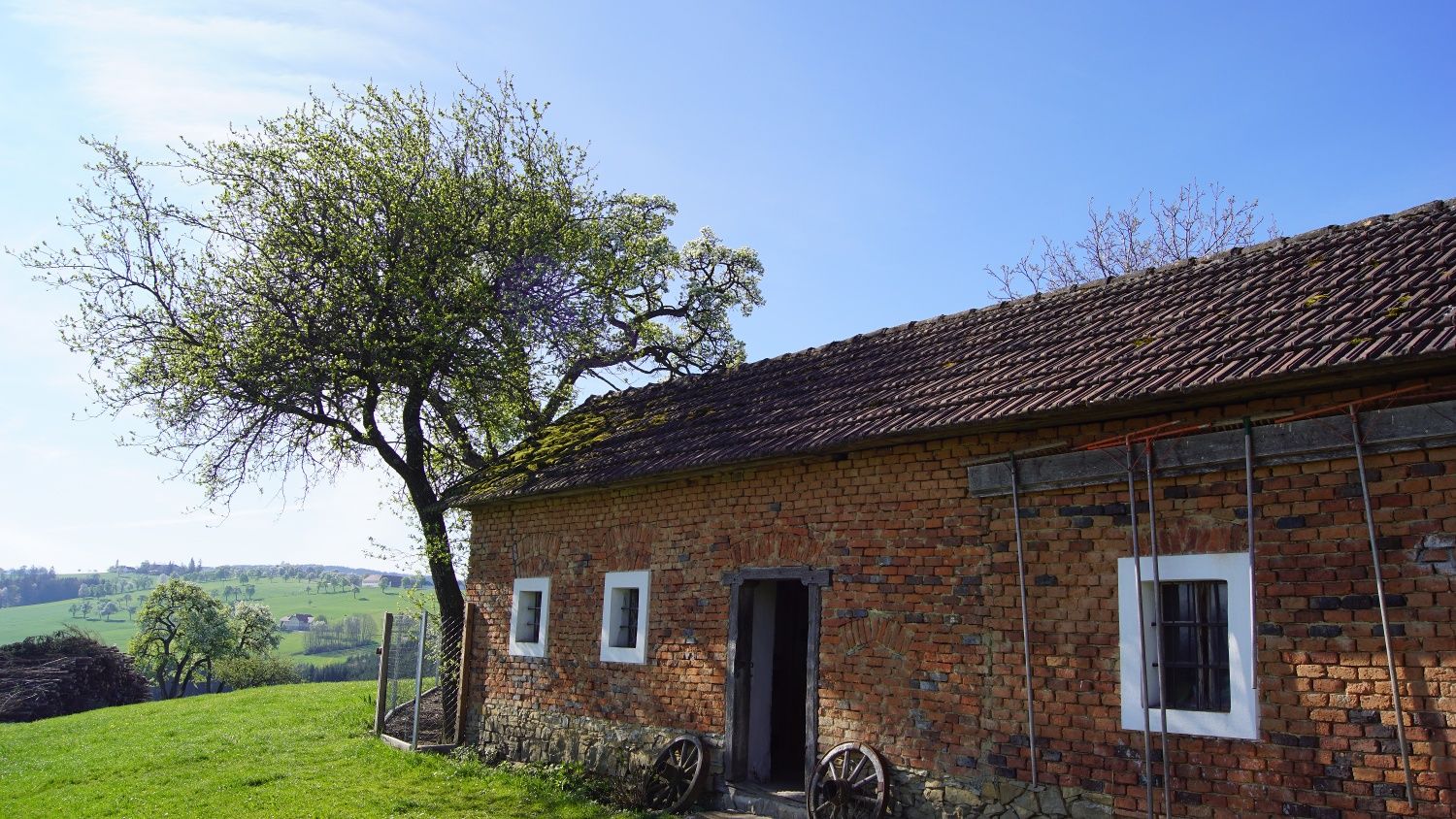 Trefflingblickweg