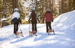 In der winterlichen Landschaft des Mariazellerlandes ziehen fröhliche Jugendliche mit ihren Schlitten durch den glitzernden Schnee. Die Bäume sind mit einer zarten Schneeschicht bedeckt, während die Sonne sanft durch die Äste scheint und eine magische Atmosphäre schafft. Hier wird der Winter zum unvergesslichen Erlebnis voller Spaß und Abenteuer.