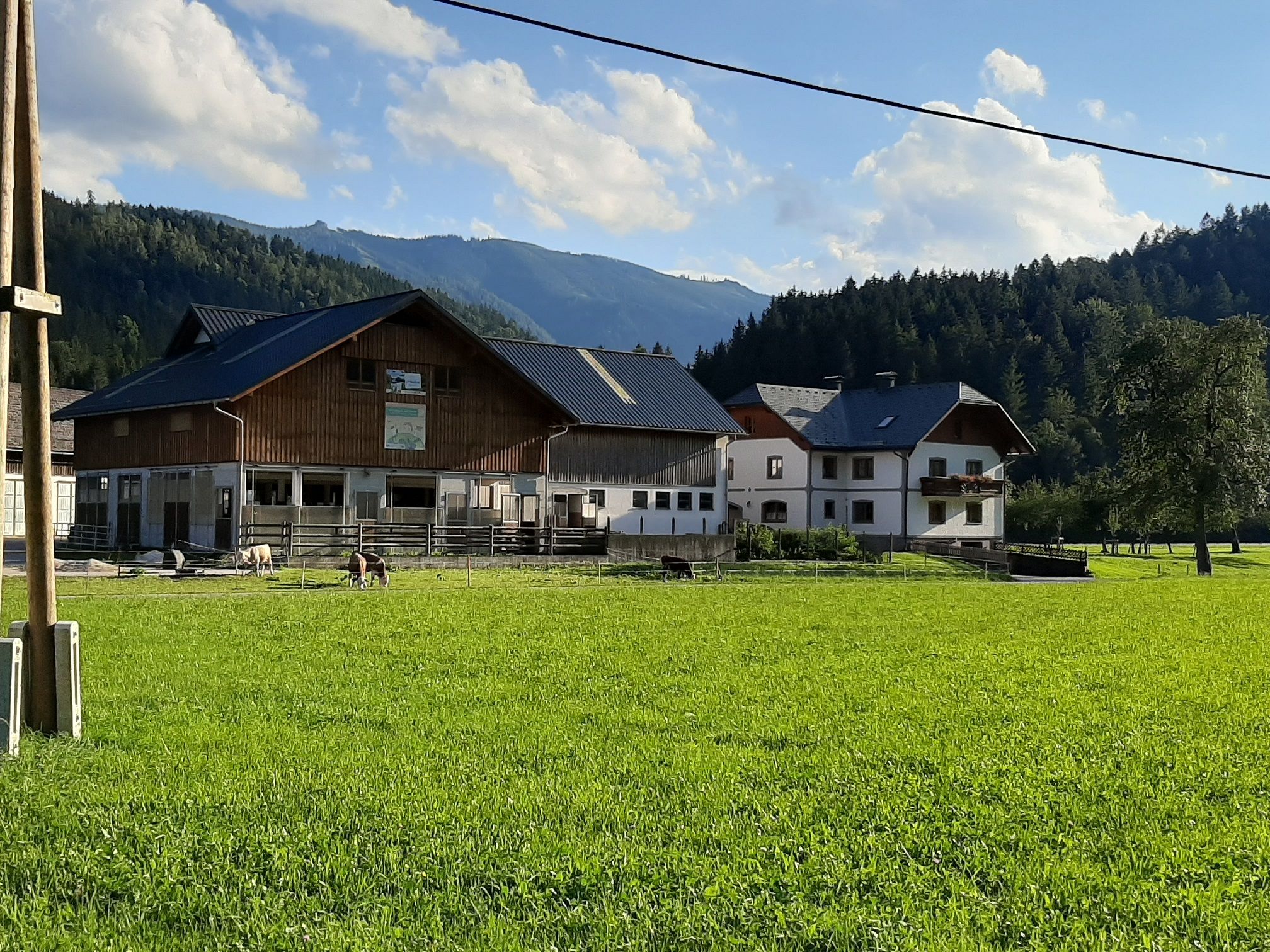 Biobauernhof Kleinsteg