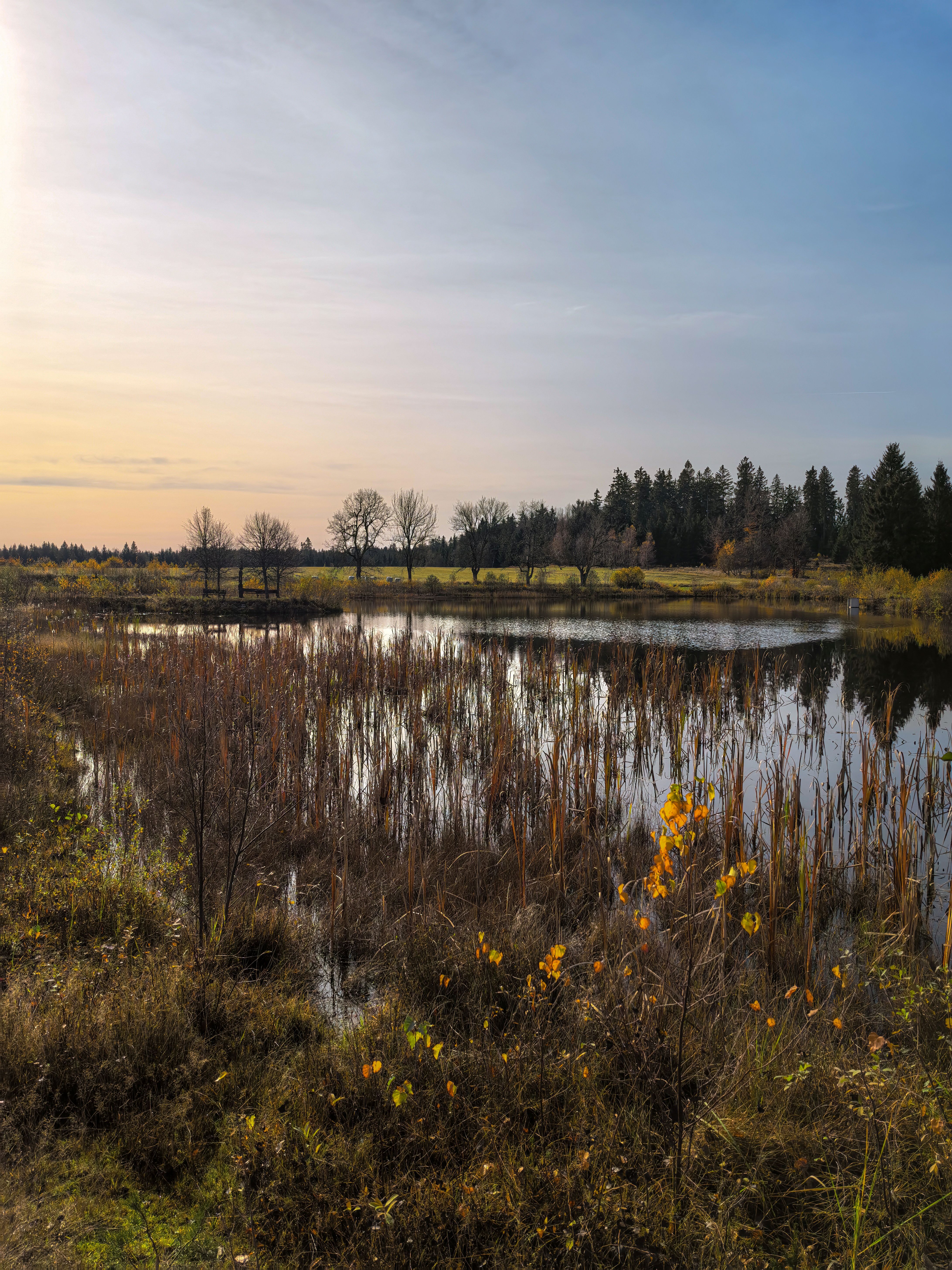 Ceska Kanada