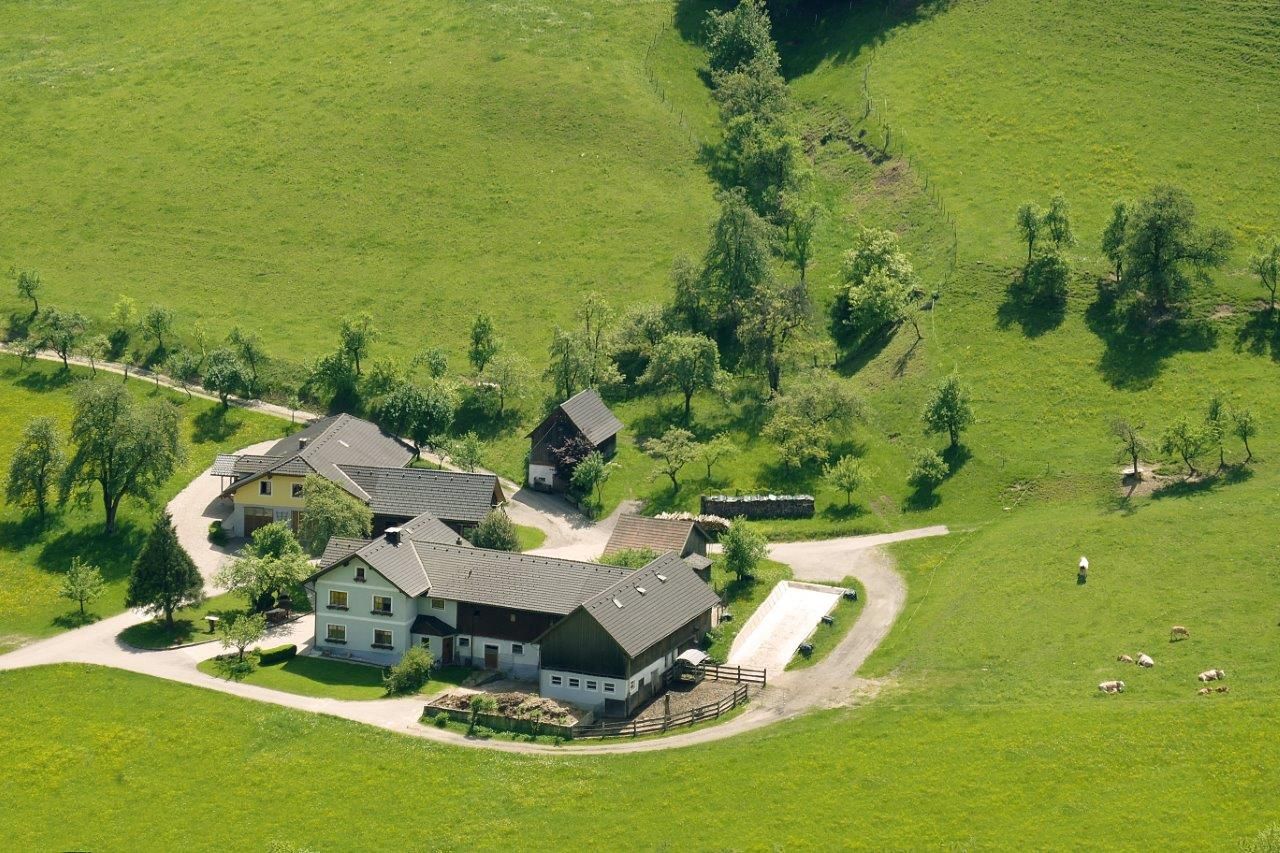 Biohof Steg