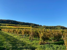 Herbststimmung, &copy; Walter Pernikl