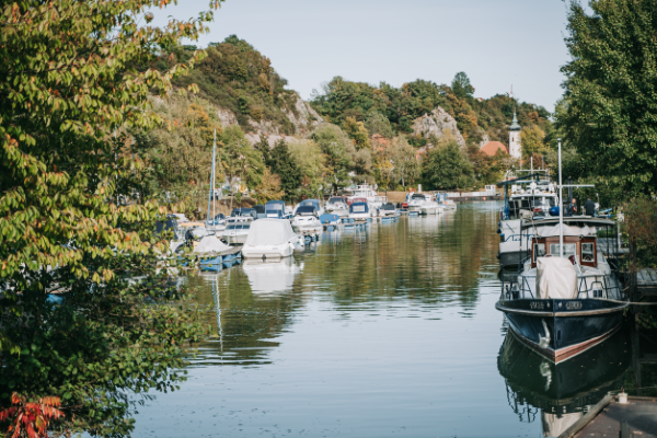 Ein ruhiger Hafen mit Booten, umgeben von Bäumen und einem Kirchturm im Hintergrund.