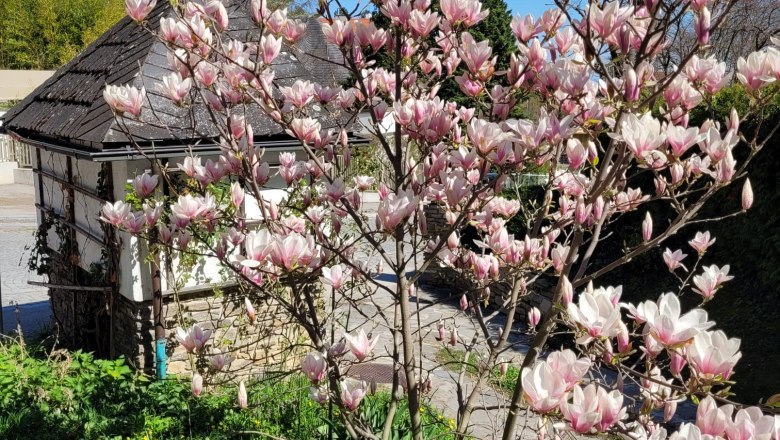 Boutiquehotel Landhaus am Kurpark, &copy; Boutiquehotel Landhaus am Kurpark