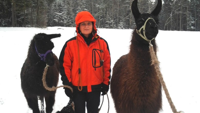 Lamawanderung, &copy; Kleindienst