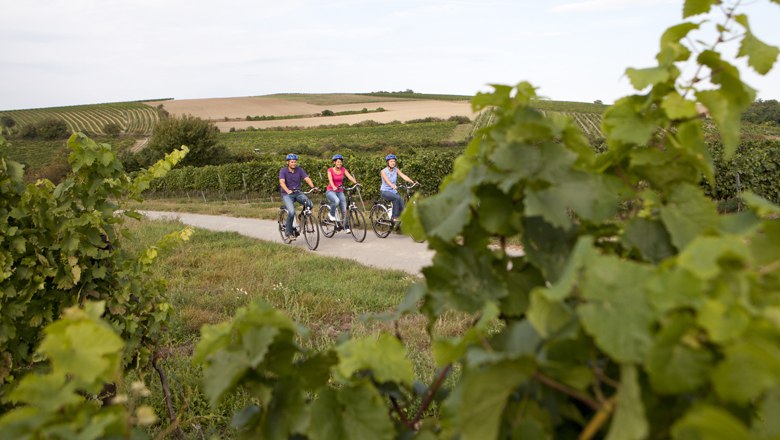 E-Biken im Weinviertel, &copy; Weinviertel Tourismus / Wurnig