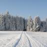winter_maerchenwald, &copy; Franz Prinz