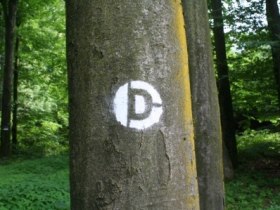 Spr&uuml;hmarkierung Dunkelsteinerwald-Runde, &copy; ARGE Dunkelsteinerwald