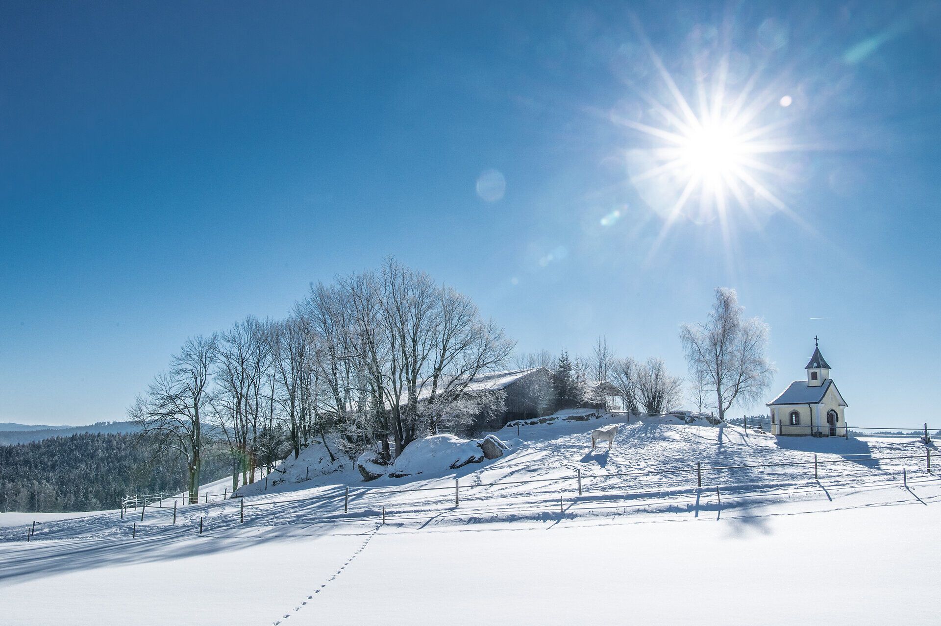 In dieser winterlichen Idylle strahlt die Sonne hell über die schneebedeckten Hügel und die charmante Kapelle. Die klare, kalte Luft und die glitzernde Schneedecke schaffen eine friedliche Atmosphäre, die zum Verweilen einlädt. Fußspuren im Schnee erzählen von den Abenteuern der Besucher, die diese zauberhafte Landschaft erkunden.