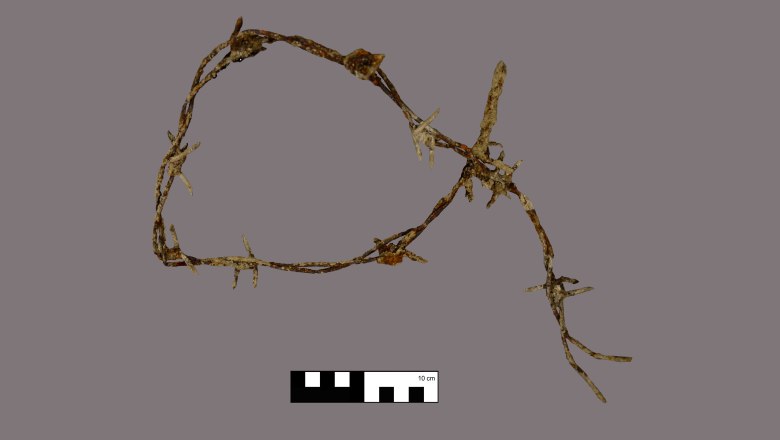 Im Lagerbereich ausgegrabener Stacheldraht, STALAG XVII B, © ASINOE GmbH