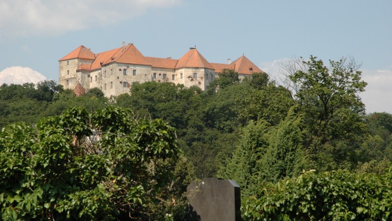 Burg Neulengbach auf einem bewaldeten Hügel mit roten Dächern, umgeben von Bäumen und blauem Himmel.