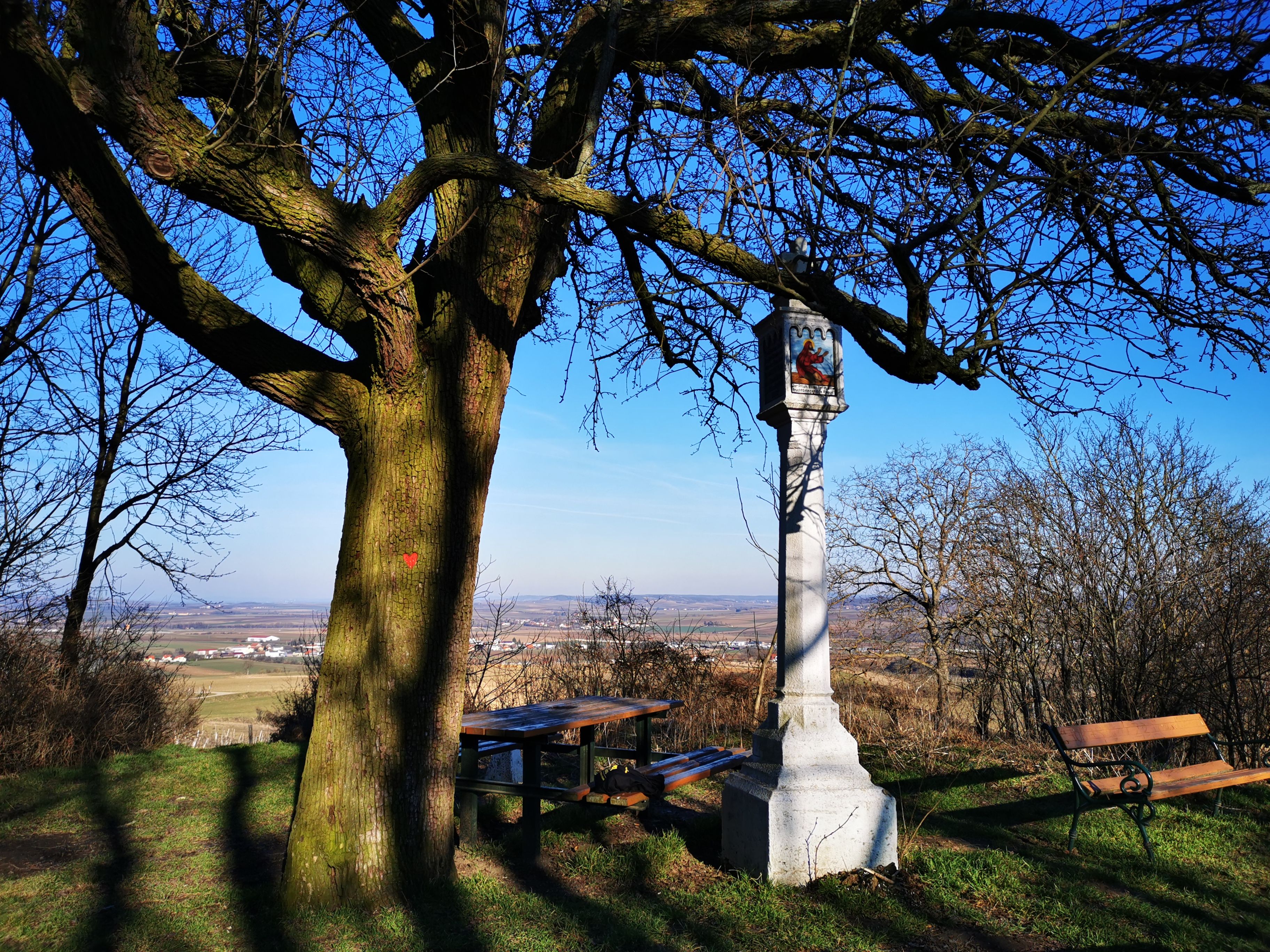 Ein großer Baum neben einem steinernen Wegkreuz mit Bänken und einem weiten Ausblick auf die Landschaft.