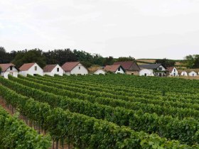 Kellergasse Prellenkirchen, VIA.CARNUNTUM., &copy; Donau Nieder&ouml;sterreich, Steve Haider