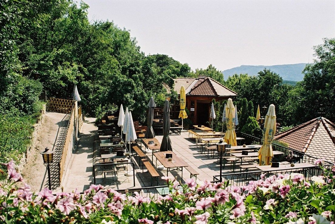 Terrassenheuriger mit leeren Tischen und Sonnenschirmen, umgeben von Bäumen und Blumen.