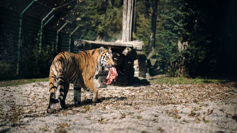 Tierpark Stadt Haag, &copy; Moststra&szlig;e, dochbodnliacht