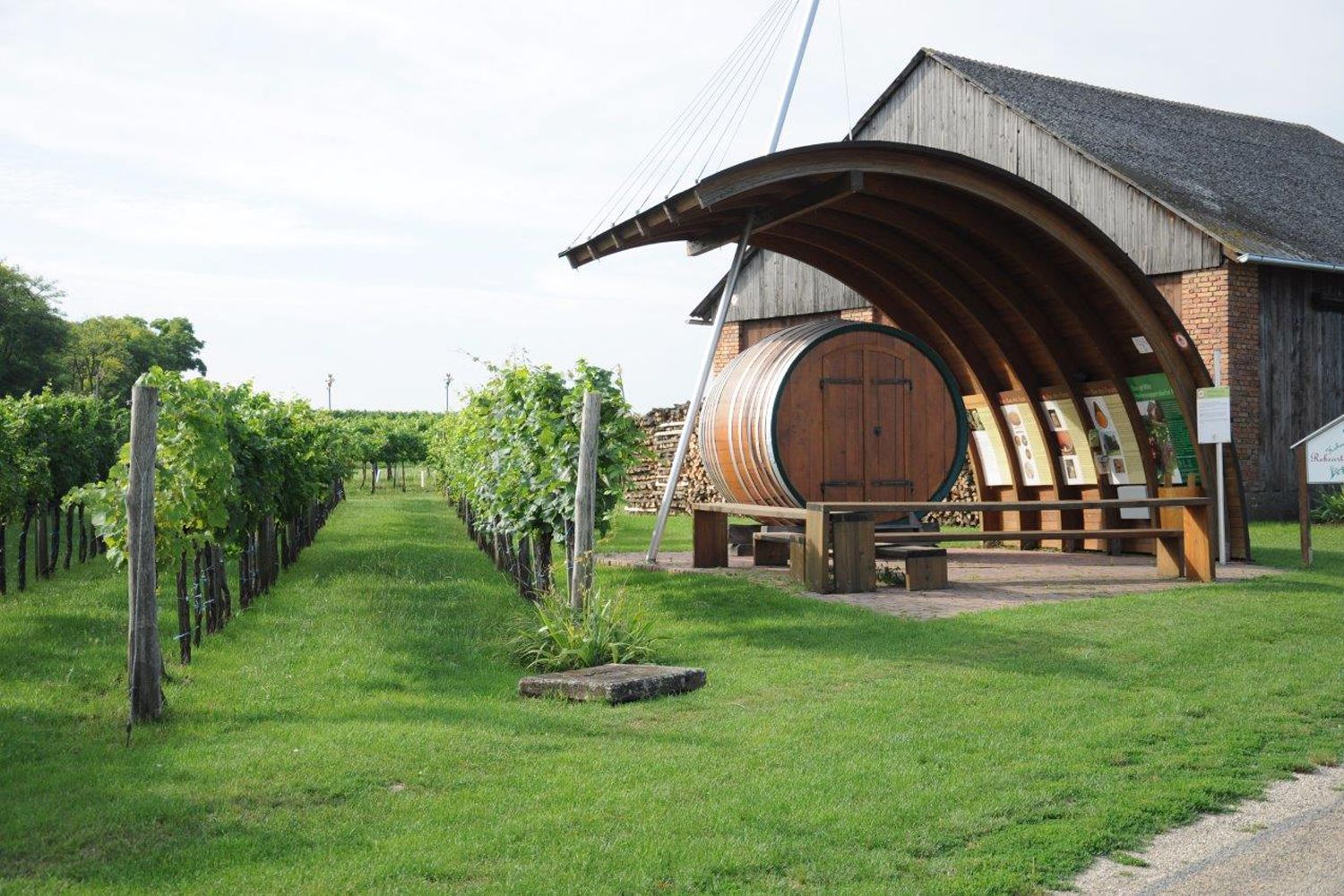 Weinberg mit großem Holzfass und Infotafeln in Hohenruppersdorf.