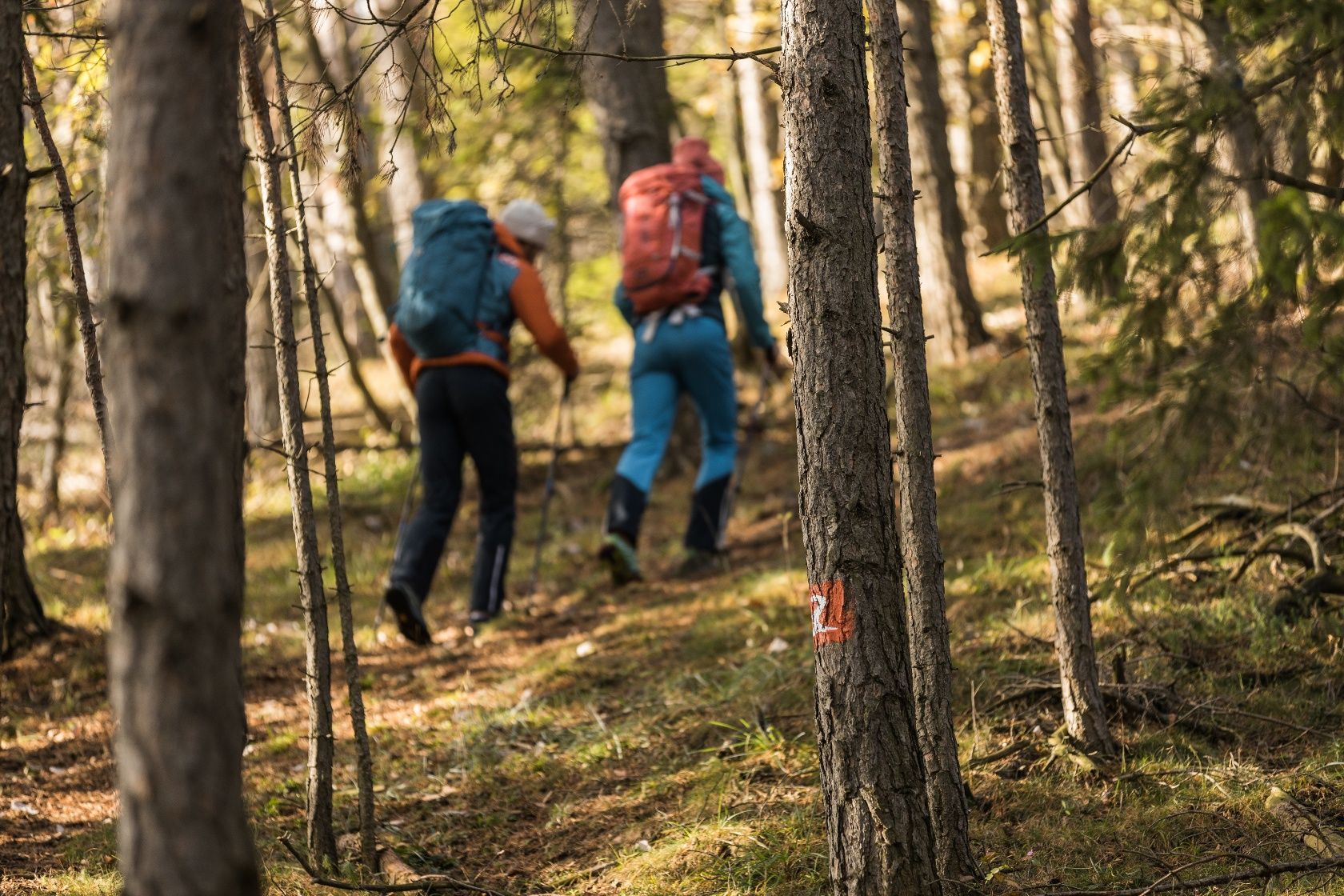Wandern am Alpannonia Weitwanderweg