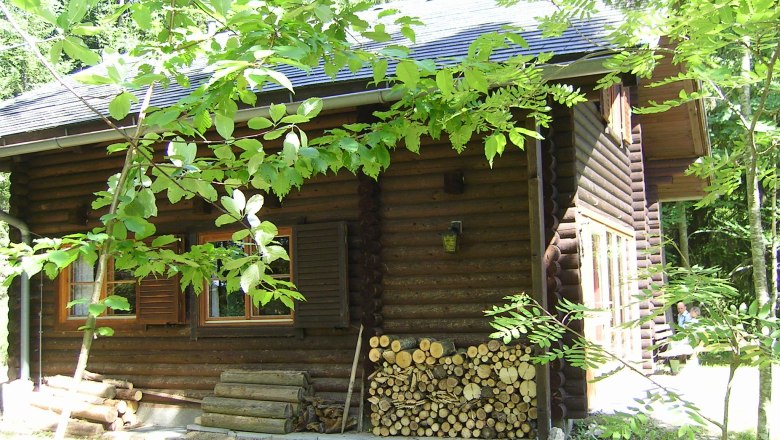 Blockh&uuml;tte im Wald mit Holzstapel und gr&uuml;nen Bl&auml;ttern im Vordergrund.