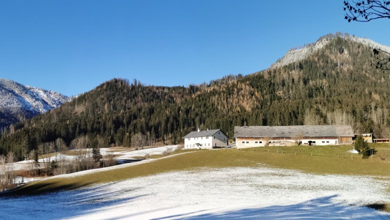 Lasingerhof, &copy; Cornelia Lasinger