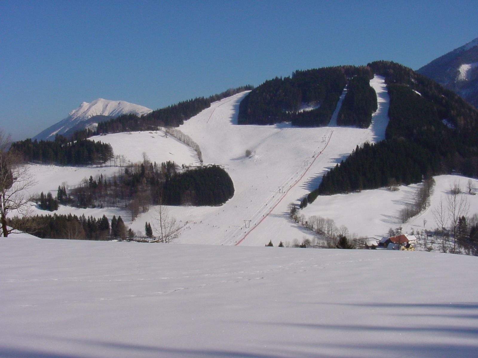 Schneebedeckte Skipisten und Wälder in einer Berglandschaft.
